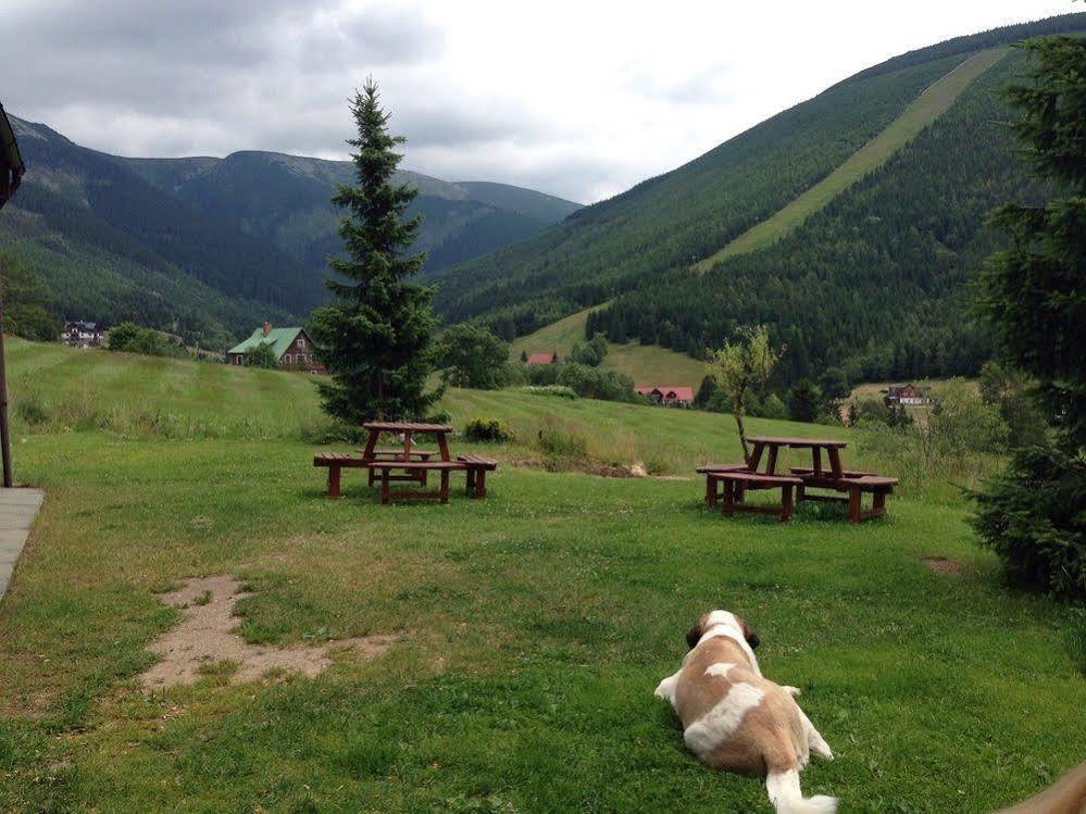 Apartmany Vysluni Špindlerŭv Mlýn Extérieur photo